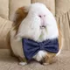 Foorcee's avatar